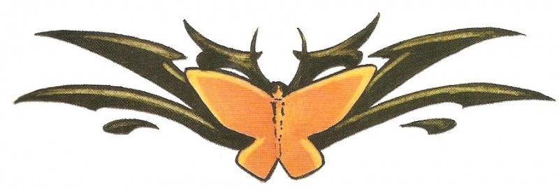 Card image cap